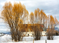 Steamboat Springs