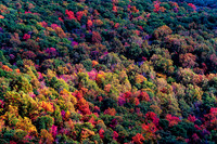 Shenandoah National Park