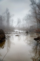 Occoquan Bay National Wildlife Refuge