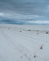 New Mexico 2016