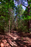 Patuxent Research Refuge
